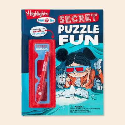 Secret Puzzle Fun activity book.